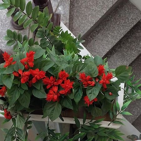Da Tree Homestay Hanoi Bagian luar foto