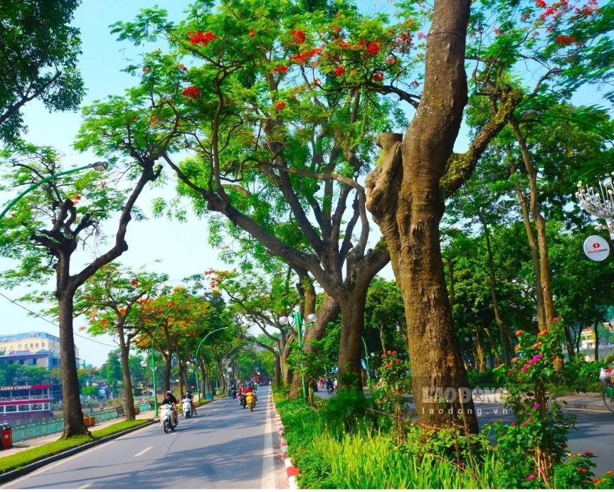 Da Tree Homestay Hanoi Bagian luar foto